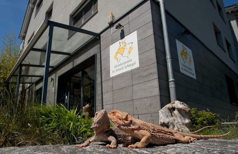 Kleintierpraxis Dr. Patrick Schlegel — Tierarzt, Sargans, St. Gallen. Foto 3
