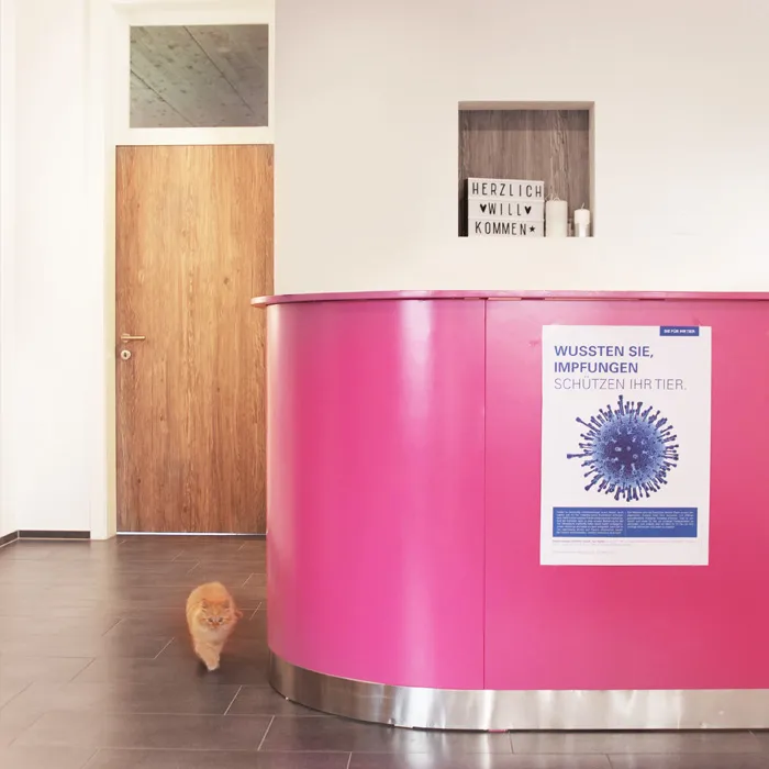 Kleintierpraxis Dr. med. vet. Frauke Scherrer AG — Tierarzt in Waldkirch, St. Gallen. Bewertung 4.9/5.