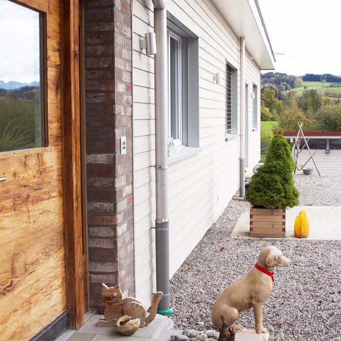 Kleintierpraxis Dr. med. vet. Frauke Scherrer AG — Tierarzt, Waldkirch, St. Gallen. Foto 2