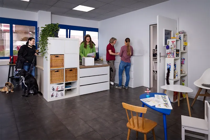 Kleintierpraxis Lindenhof — Tierarzt in Romanshorn, Thurgau. Bewertung 4.6/5.