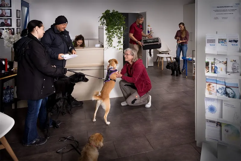 Kleintierpraxis Lindenhof — Vétérinaire, Romanshorn, Thurgovie. Foto 2