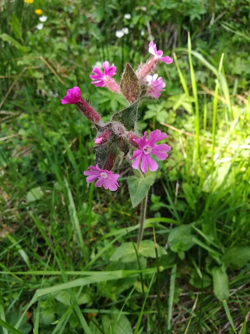 Kleintierpraxis Lindenhof — Vétérinaire, Romanshorn, Thurgovie. Foto 3