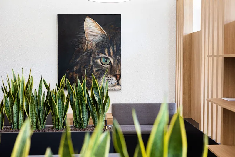 Kleintierpraxis Seegarten AG — Veterinarian, Schmerikon, St. Gallen. Foto 2