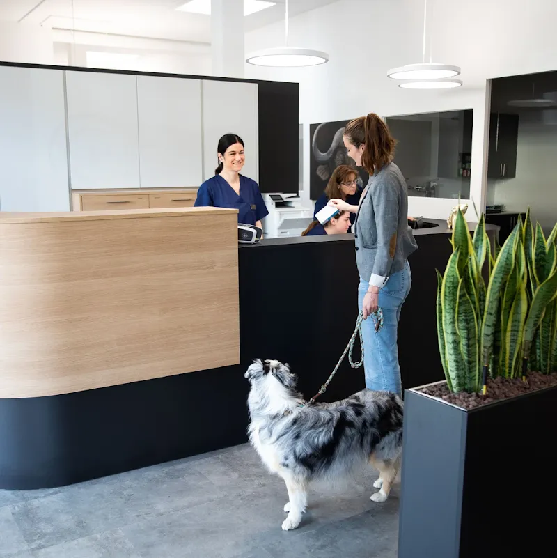 Kleintierpraxis Seegarten AG — Veterinarian, Schmerikon, St. Gallen. Foto 3