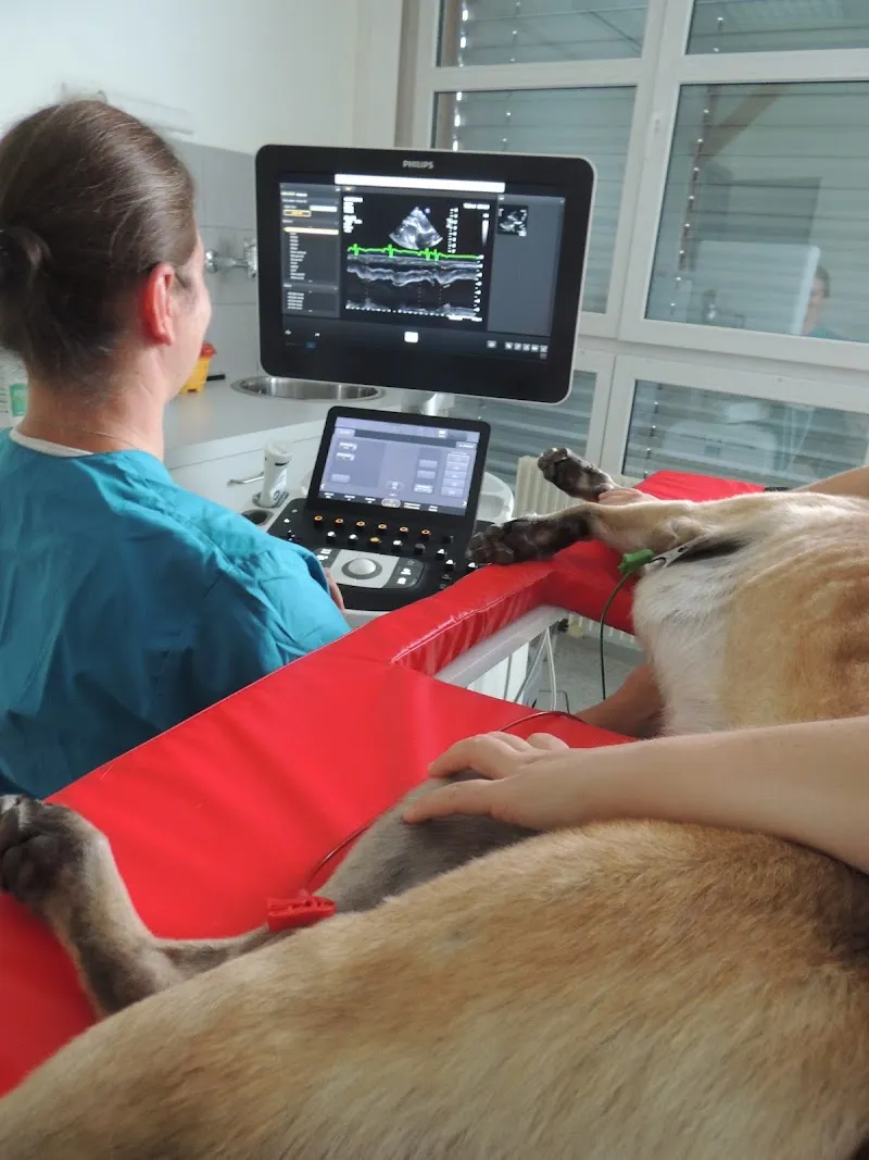 Kleintierpraxis Werdenberg GmbH — Tierarzt, Buchs, St. Gallen. Foto 3