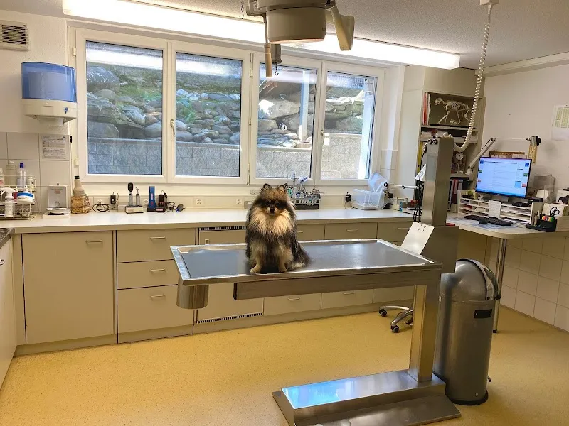 Marigin Tierarztpraxis Farnenbüel — Tierarzt in Eschenbach, St. Gallen. Bewertung 4.8/5.