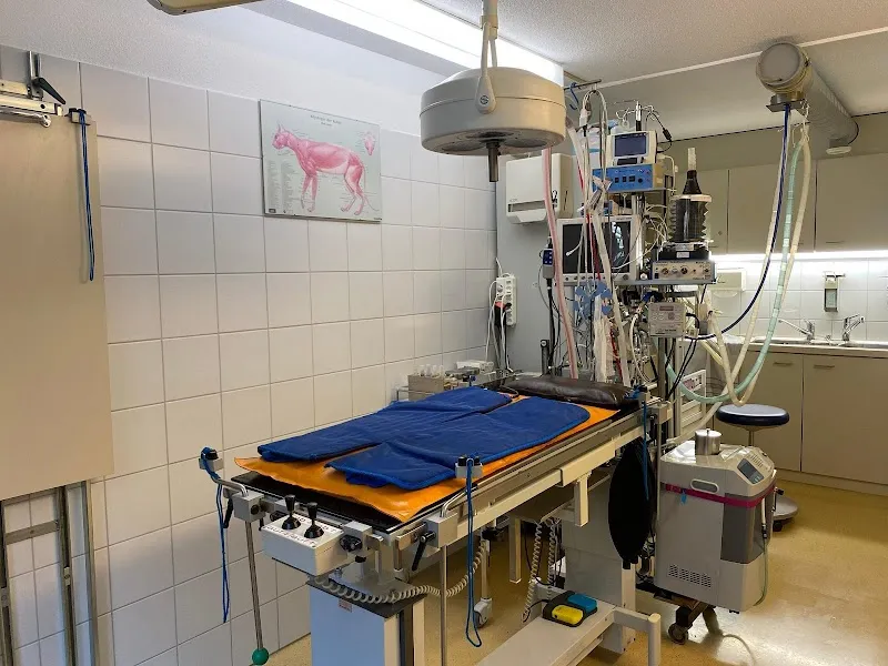 Marigin Tierarztpraxis Farnenbüel — Vétérinaire, Eschenbach, Saint-Gall. Foto 2