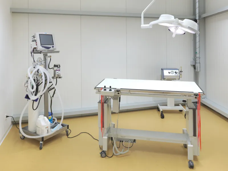 MeikoVet AG, Kleintierpraxis Maienfeld — Tierarzt, Maienfeld, Graubünden. Foto 2