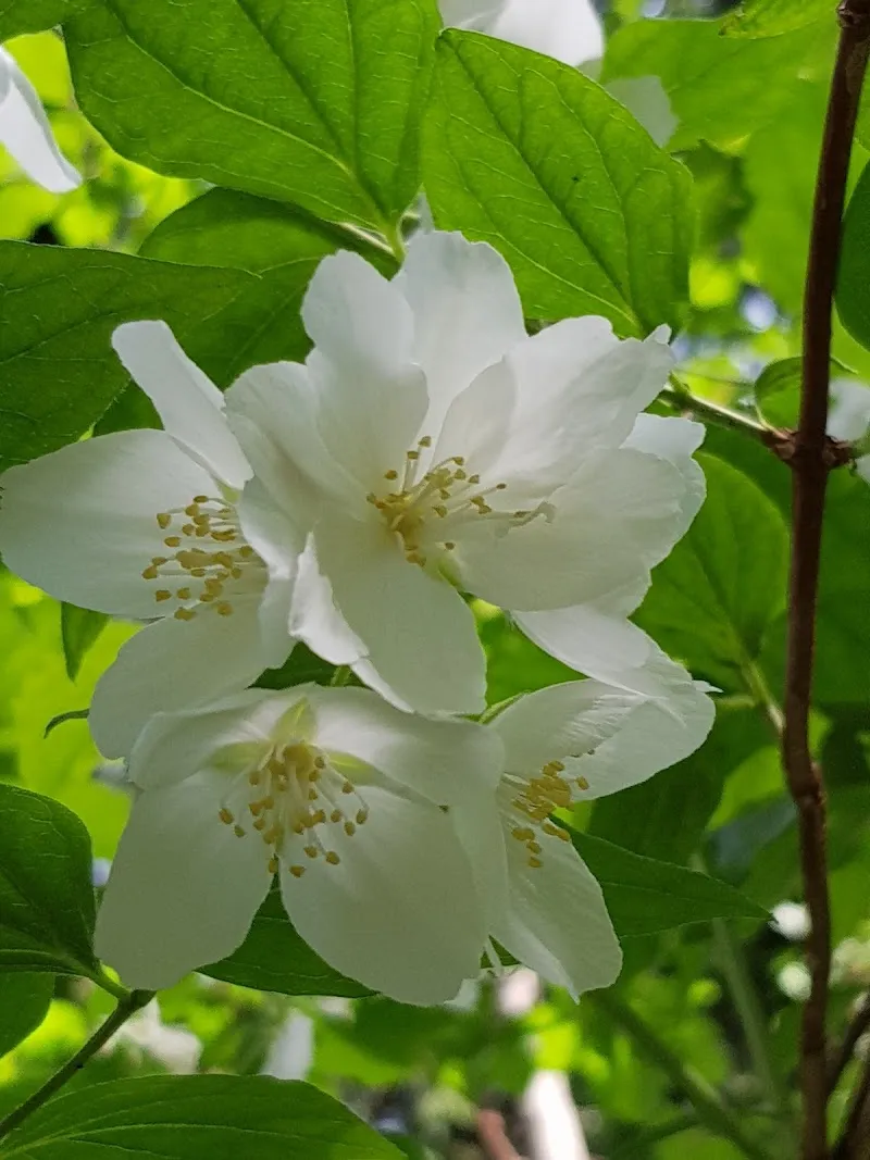 Swiss Mobile Veterinary Clinic — Tierarzt in Gossau, Zürich. Bewertung 5.0/5.