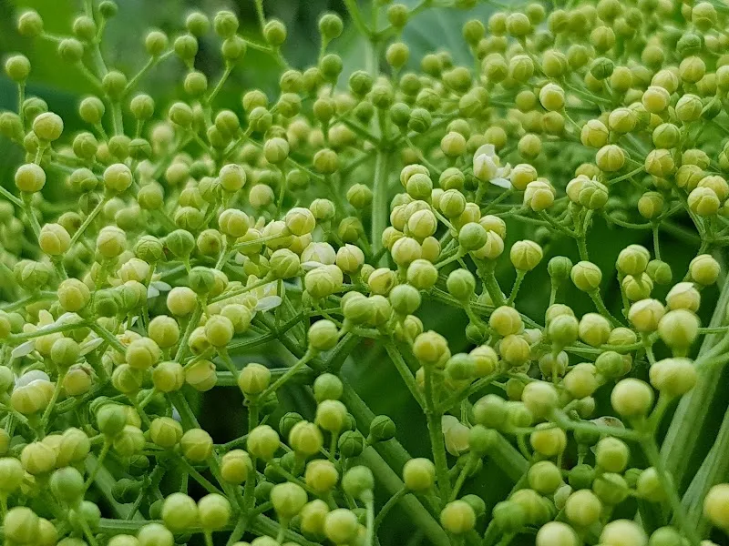 Swiss Mobile Veterinary Clinic — Vétérinaire, Gossau, Zurich. Foto 3