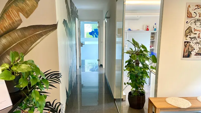 Tierarzt Dr. Feulner — Tierarzt in Staad, St. Gallen. Bewertung 4.7/5.