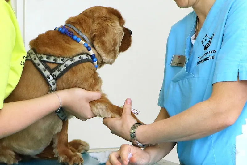 Tierarztpraxis Lindenacker — Tierarzt in Eschlikon, Thurgau. Bewertung 4.1/5.