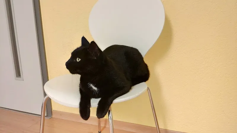 Tierarztpraxis Minder AG — Tierarzt, Freidorf, Thurgau. Foto 2