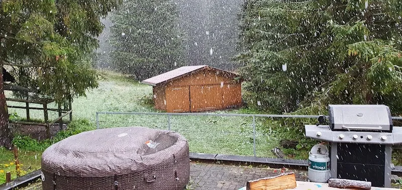 Tierarztpraxis Walser — Tierarzt in Davos, Graubünden. Bewertung 4.9/5.