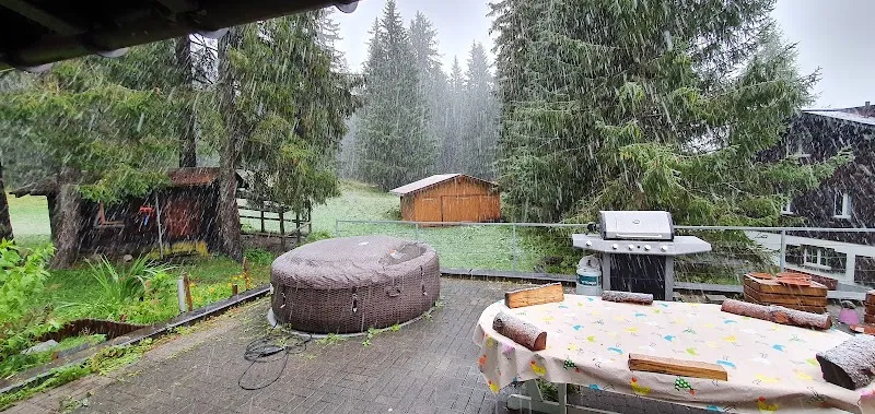 Tierarztpraxis Walser — Vétérinaire, Davos, Grisons. Foto 2