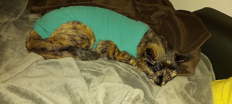 Tierärzteteam24 — Tierarzt in Wil, St. Gallen. Bewertung 4.4/5.