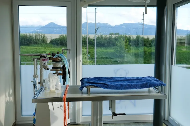 VetTrust Kleintierpraxis Au — Tierarzt, Au, St. Gallen. Foto 3