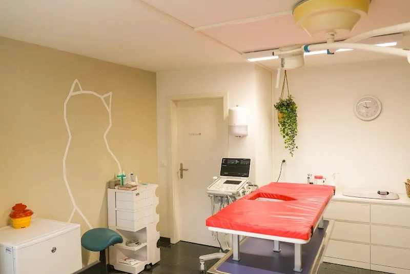 VetTrust Kleintierpraxis Zuzwil — Tierarzt in Zuzwil, St. Gallen. Bewertung 4.9/5.