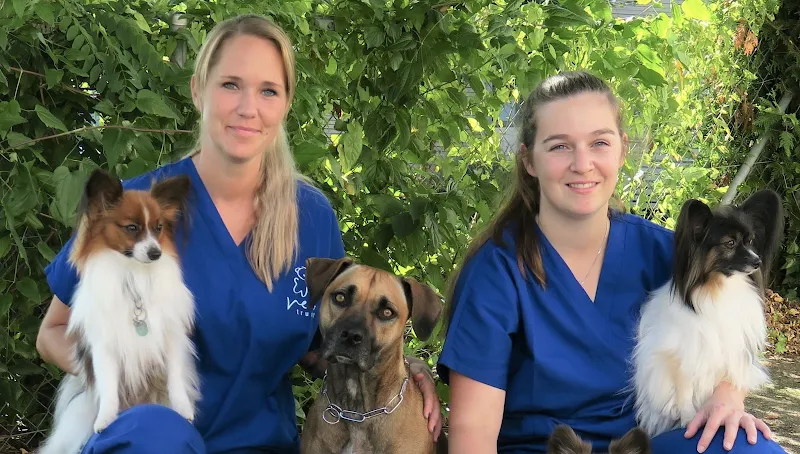 VetTrust PetSalon Zuzwil (Katzen- & Hundecoiffeur) — Tierdienste in Zuzwil, St. Gallen. Bewertung 5.0/5.