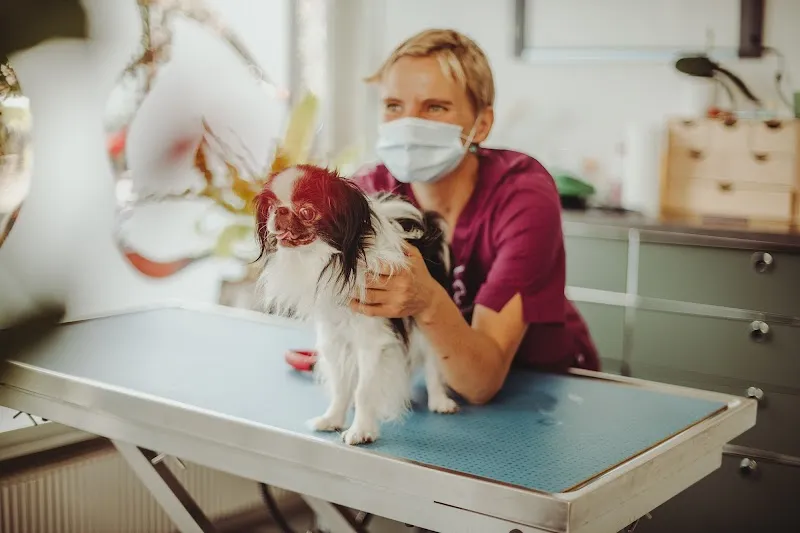 Animò - Studio Veterinario Olistico — Tierarzt in Locarno, Tessin. Bewertung 4.8/5.