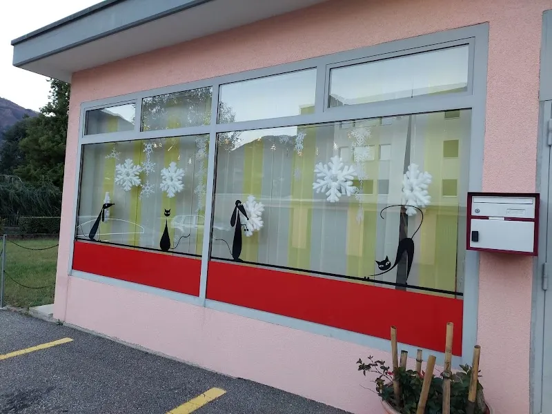 Anivet SA — Vétérinaire, Sanmentina, Tessin. Foto 3