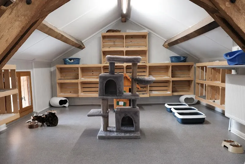 Chatterie du Point du Jour — Katzenpension in Essertines-sur-Rolle, Waadt. Bewertung 4.9/5.