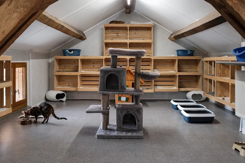 Chatterie du Point du Jour — Katzenpension, Essertines-sur-Rolle, Waadt. Foto 2