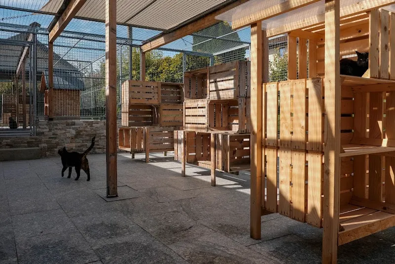 Chatterie du Point du Jour — Katzenpension, Essertines-sur-Rolle, Waadt. Foto 3