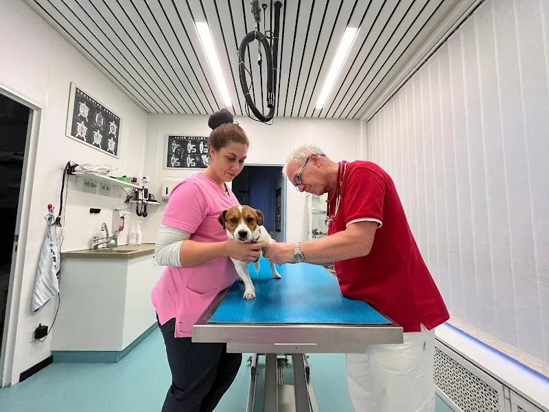 Centro Veterinario Daniele Varini — Tierarzt in Losone, Tessin. Bewertung 4.9/5.
