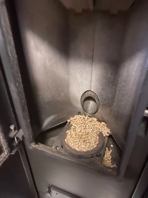 Centro Veterinario Dott. Paolo Sattamino — Tierarzt, Losone, Tessin. Foto 3