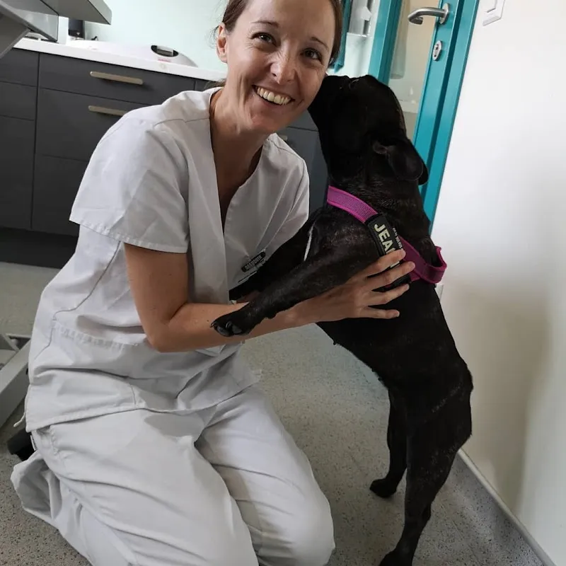 Centro Veterinario Preluna - Lugano — Tierarzt in Comano, Tessin. Bewertung 4.7/5.