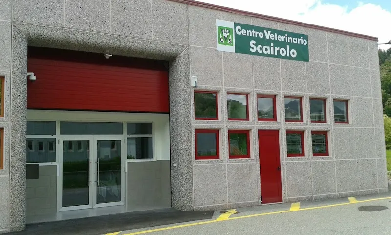 Centro Veterinario Scairolo - Collina d'Oro — Tierarzt in Collina d'Oro, Tessin. Bewertung 4.7/5.