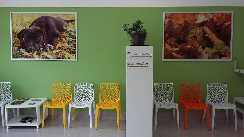 Centro Veterinario Scairolo - Collina d'Oro — Tierarzt, Collina d'Oro, Tessin. Foto 3