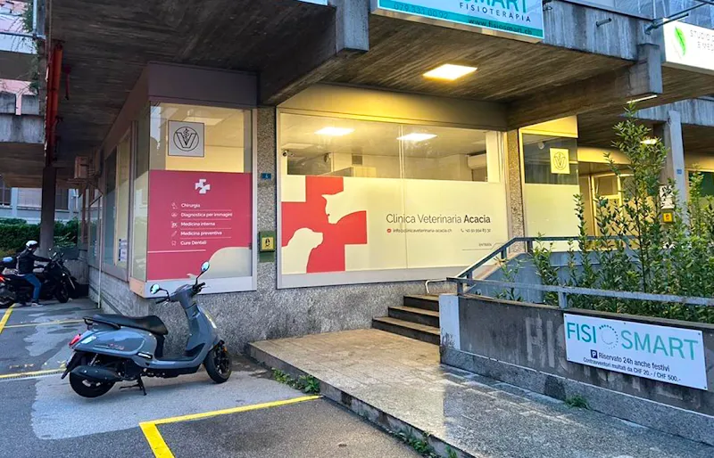 Clinica Veterinaria Acacia Sagl — Tierarzt, Paradiso, Tessin. Foto 2