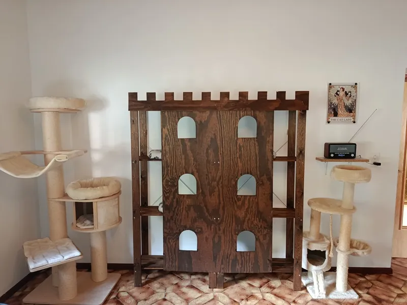 Château - Hôtel pour Chats et Cat Sitting — Pensione per gatti, Bramois, Vallese. Foto 3