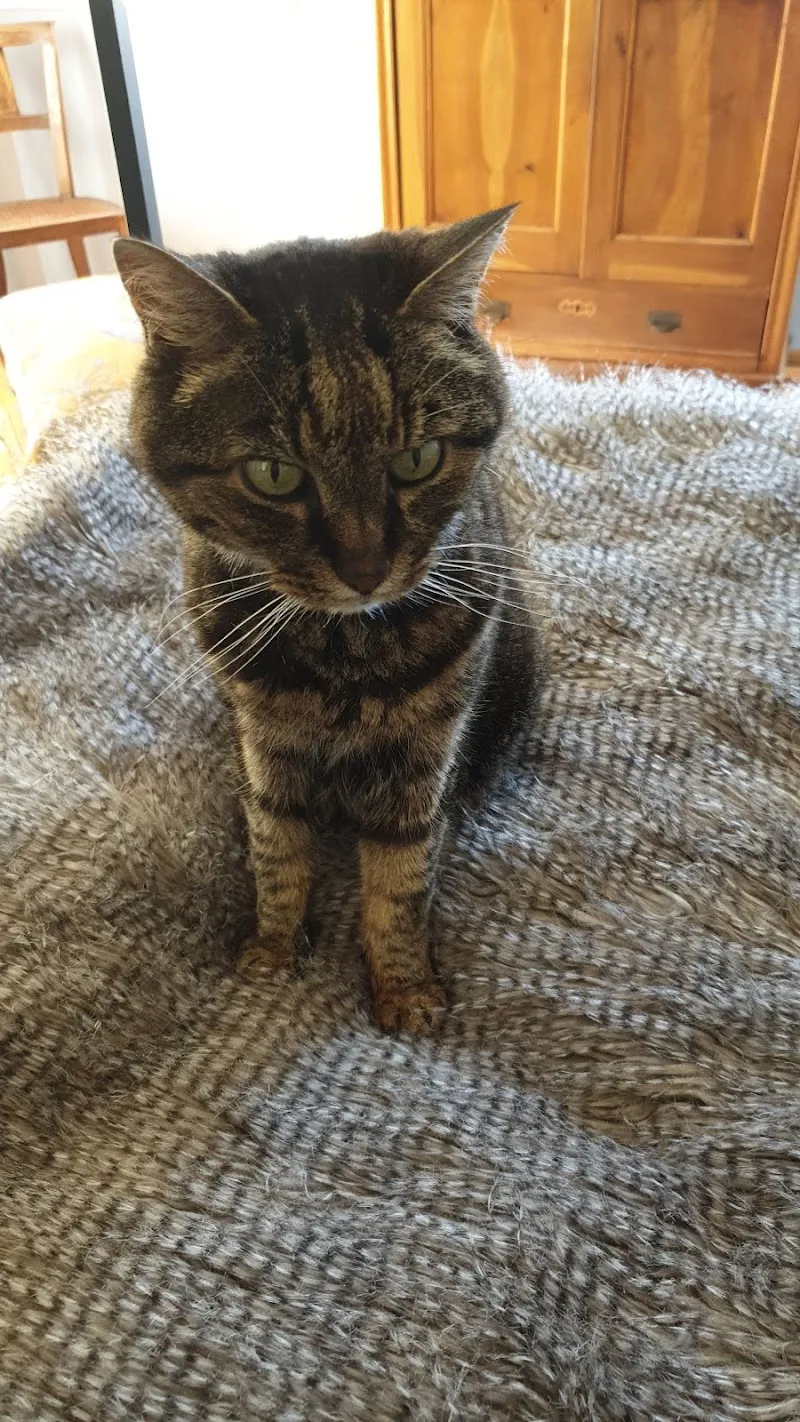 Egli Christoph — Tierarzt in Gordola, Tessin. Bewertung 4.7/5.