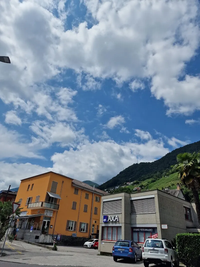 Egli Christoph — Tierarzt, Gordola, Tessin. Foto 2