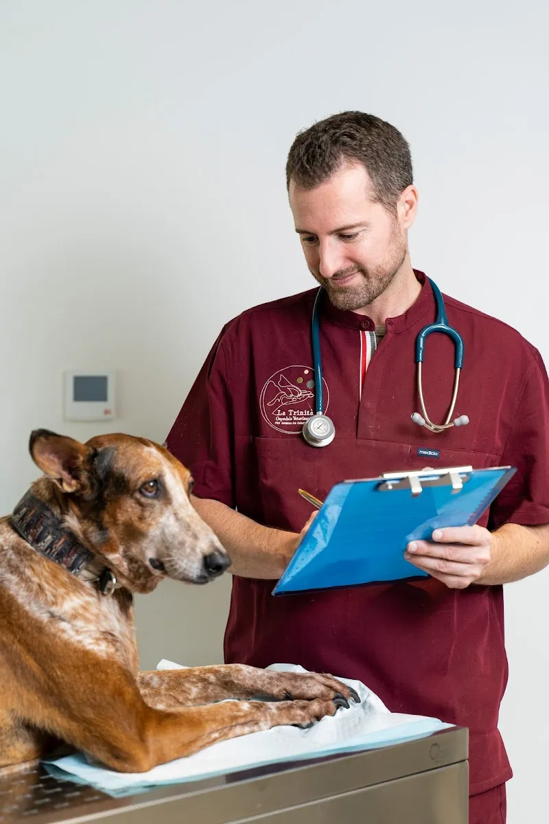 La Trinità - Ospedale Veterinario — Tierarzt in Cadempino, Tessin. Bewertung 4.8/5.