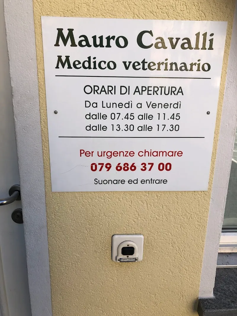 Mauro Cavalli — Vétérinaire, Locarno, Tessin. Foto 3