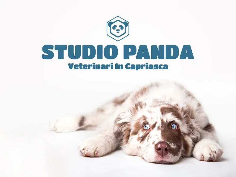 Studio Veterinario Panda Sagl — Tierarzt in Tesserete, Tessin. Bewertung 4.9/5.