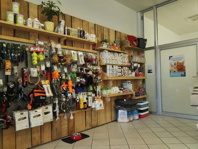 Studio Veterinario tiVET — Vétérinaire, Bellinzona, Tessin. Foto 2