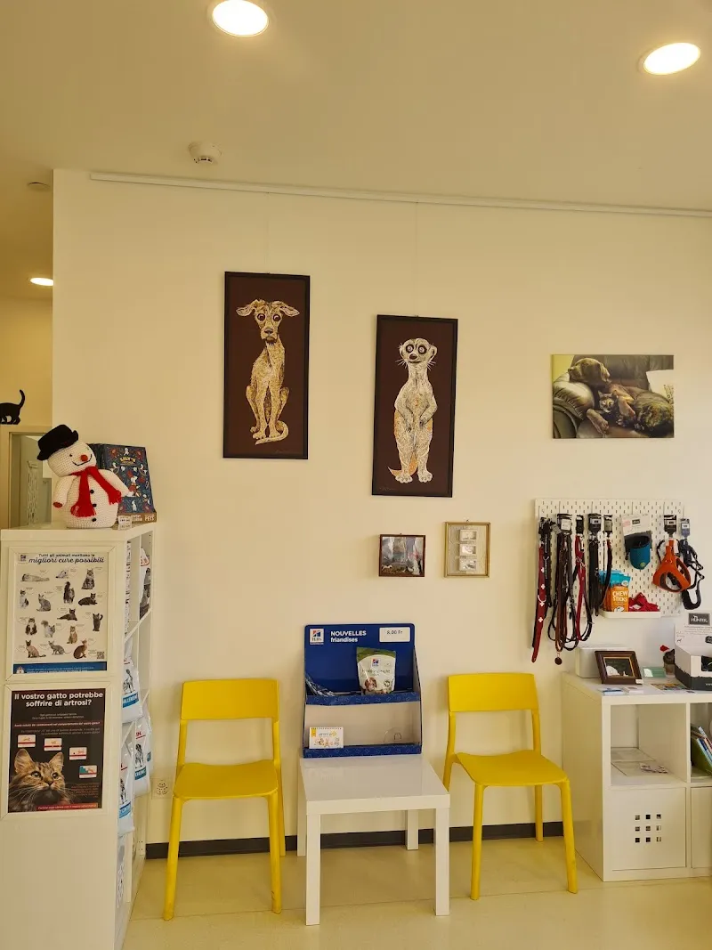 Studio veterinario al Sole - Massagno — Tierarzt in Massagno, Tessin. Bewertung 4.9/5.