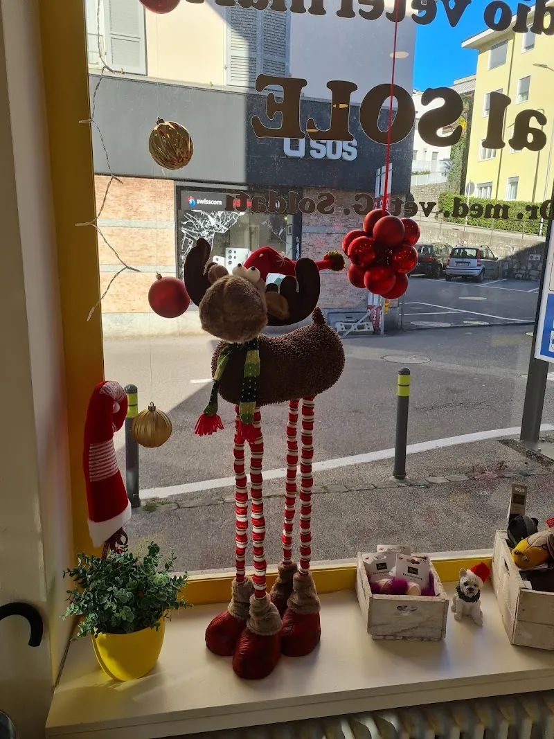 Studio veterinario al Sole - Massagno — Vétérinaire, Massagno, Tessin. Foto 2