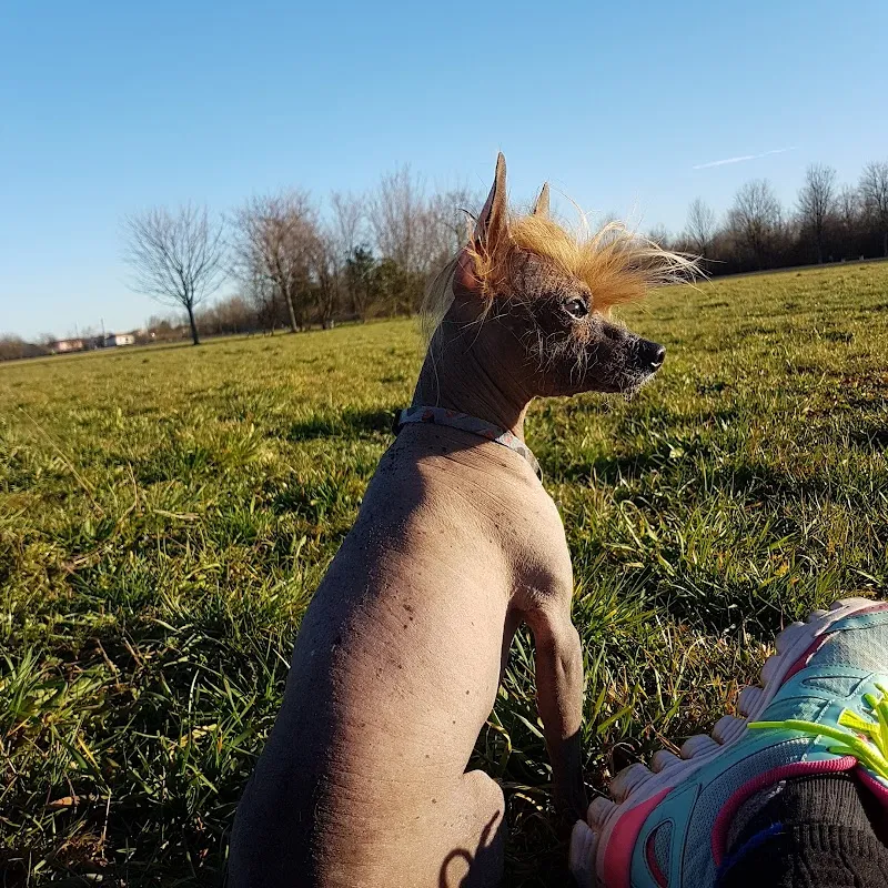 Studio veterinario al Sole - Massagno — Vétérinaire, Massagno, Tessin. Foto 3