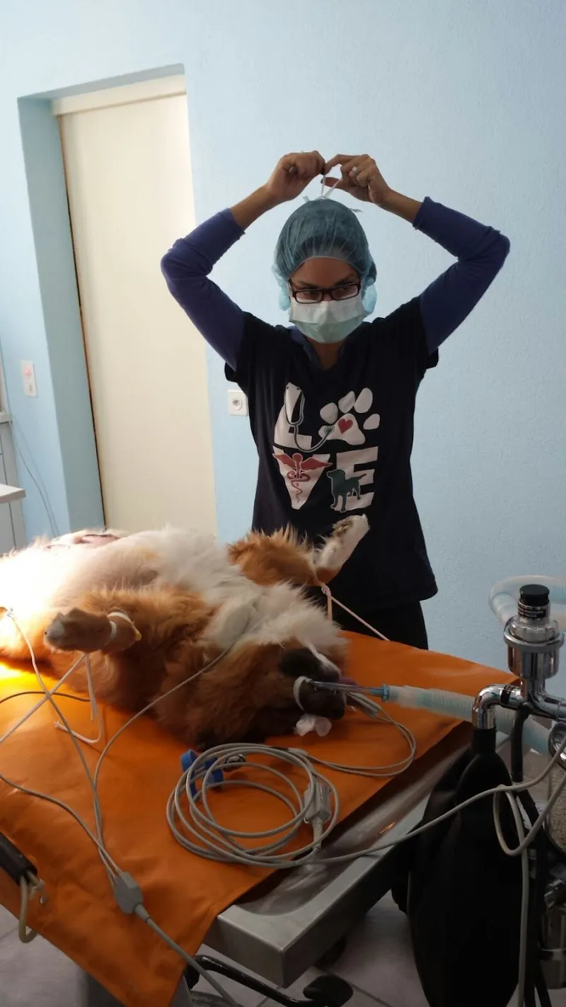 Studio veterinario can e gat Sagl — Tierarzt in Lumino, Tessin. Bewertung 4.8/5.