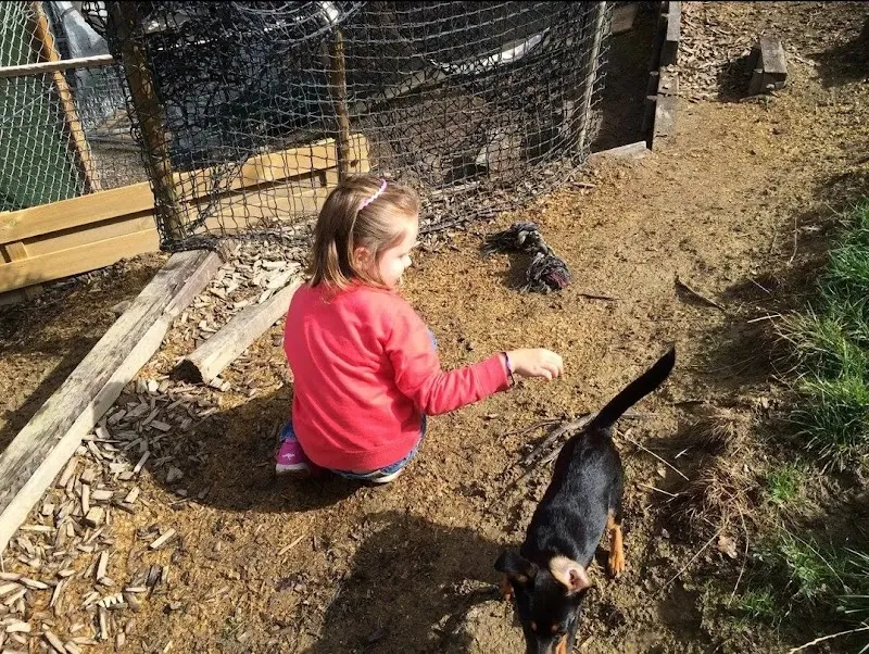 Dog's Kennel Mini Pension pour chiens, Kevin Jordan — Katzenpension, Montagny, Freiburg. Foto 3