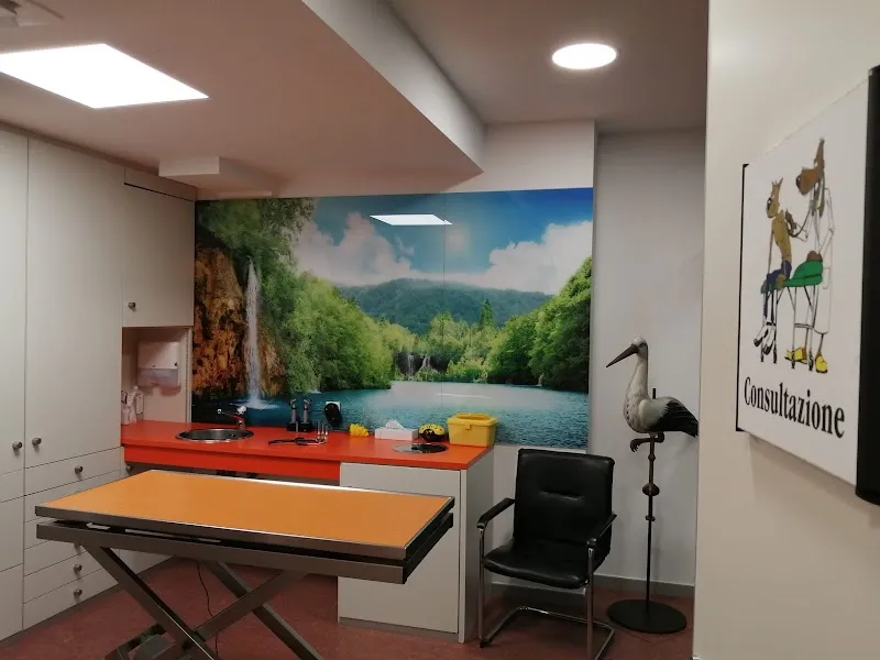 dr. Mazzi Michele — Vétérinaire, Locarno, Tessin. Foto 2