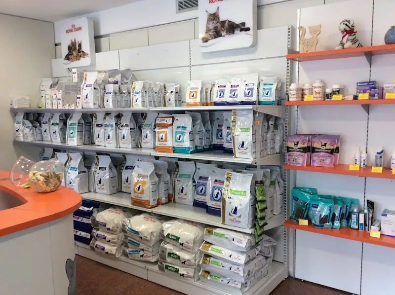 dr. Mazzi Michele — Vétérinaire, Locarno, Tessin. Foto 3