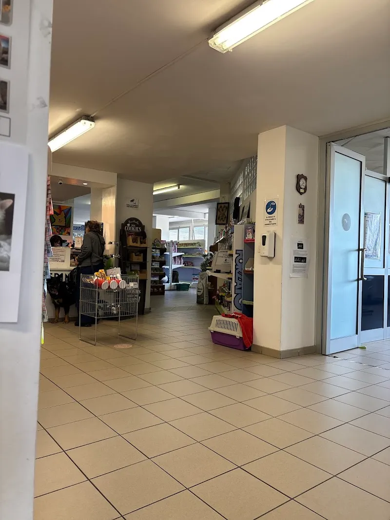 dr. med. vet. Stefanini Simone — Tierarzt, Mendrisio, Tessin. Foto 3