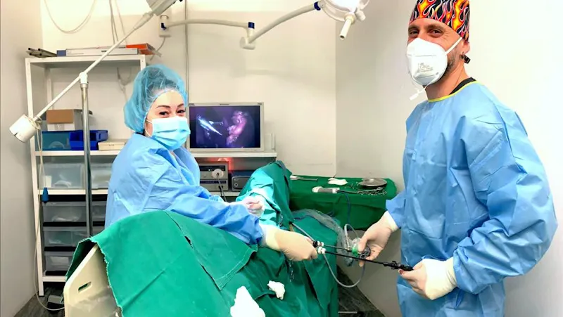 tiVET, Centro Veterinario — Tierarzt in Lavertezzo, Tessin. Bewertung 4.2/5.